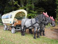 Ausflug des Frauenkreises zum Behringerhof nach Hänner