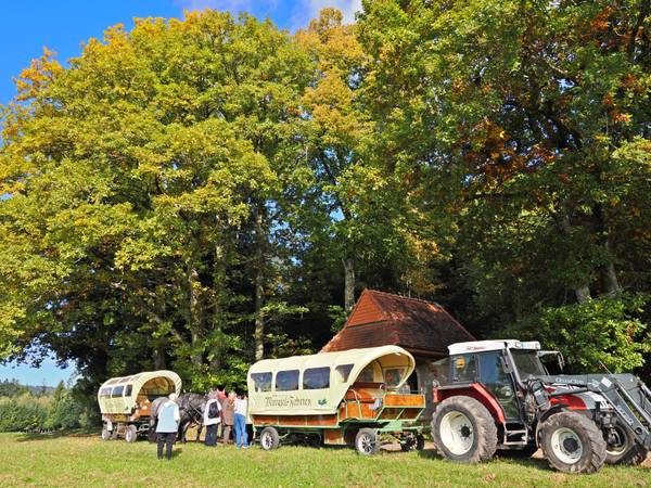 Ausflug des Frauenkreises zum Behringerhof nach Hänner