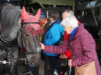 Ausflug des Frauenkreises zum Behringerhof nach Hänner